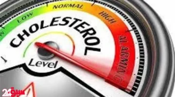 الكوليسترول والسمن البلدي: استشاري يبرئ البيض والكبدة من تهمة زيادة نسبته
